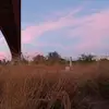 jade Dominguez - @jade.dominguez90 - TikTok