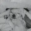 Jade Dominguez - @jade.dominguez33 - TikTok