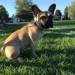 Jade Dupuis - @jade_dupuis_deau - Instagram