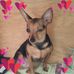 Jade Esposito - Facebook