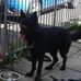 Jade Fleming - Facebook