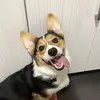 jade & frank - @frankie.francis27 - TikTok