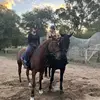 jadegibson_eq - @jadegibson_eq - TikTok