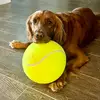 Harper Jade 🐾 - @harperjadethegolden - TikTok