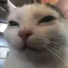 jade - @jadeheath3 - TikTok