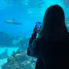 Jade 🪼 - @jade.hennessy_ - TikTok