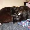 Jade Higgins - @jade.higgins3 - TikTok