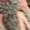 jadeholmes_ - @jadeholmes_ - TikTok