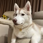 Jade Hsu - @jadehsu88 - Instagram