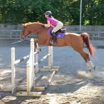 Jade Hudson 🤠 - @jadehuds_equestrian - Instagram