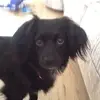 Fredthered - @jadeevehurst - TikTok