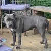 Jade Ingledew - @jade.ingledew - TikTok