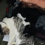 Jade Jackman - @jackman.jade - Instagram