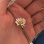 Jade Jean - @photagraphe27 - Instagram