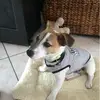 jade_jean - @jade_jean - TikTok