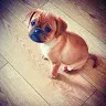 Jade Johns - @jadejohns92 - TikTok