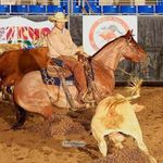 Jade Keller Performance Horses - @jadekellerperformancehorses - Instagram