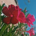 Jade - @_jadekidding_ - Instagram