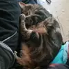 jadeknapp368 - @jbk_1331 - TikTok