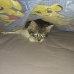 Jade Knights - @jade.knights.35 - Instagram