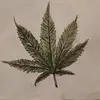 jadekoga1 - @jadekoga1 - TikTok