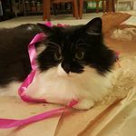 Jade Kost - @gd912 - Instagram
