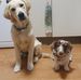 Jade Kostic - Facebook