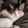 jadelafferty0 - @jadelafferty0 - TikTok