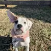 phoebe - @phoebe.jade.lafferty - TikTok