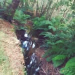jadelaforge - @melissanoumea33 - Instagram