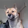 jade leger - @jadeleger18 - TikTok