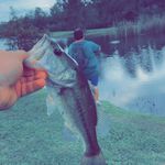 jade leger - @jadeleger337 - Instagram