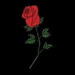 Jade Levine - @jadecolettedesign - Instagram