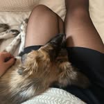 MJ ​ - @minke_jade_lombard - Instagram