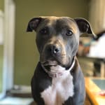 Nala Jade - @nala_jade_lutz - Instagram