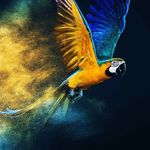 @jadem_arcus - Instagram