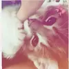 jade - @jadeemarrtin - TikTok