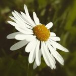 jade&mathys - @photo_nature_duo_jm - Instagram