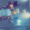 jade McCarthy - @jade.mccarthy1 - TikTok