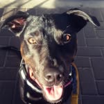 Tamara Jade McDowell - @buddy_023 - Instagram