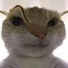 jadeirishmendiola - @jadeirishmendiola - TikTok