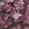 Purple - @jademeredith05 - TikTok