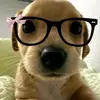 itzz_jade - @jademichelle - TikTok