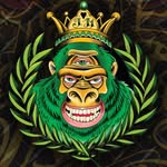 Jade Monkey Wilmington NC - @jademonkeytattoo - Instagram