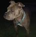 Jade Moeller - Facebook