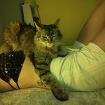 Jade - @jade.muir_8wc.v - Instagram