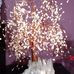 Jade Olson - Facebook