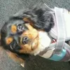jade parkinson  - @jadelarag2009 - TikTok