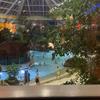 𝐣𝐚𝐝𝐞🩷 - @jadeparkinson18 - TikTok