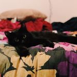 Jade Patterson - @meowitsjade - Instagram